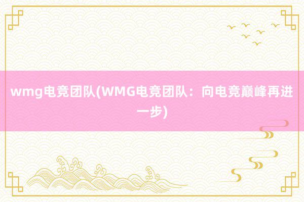 wmg电竞团队(WMG电竞团队：向电竞巅峰再进一步)