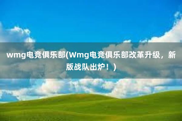 wmg电竞俱乐部(Wmg电竞俱乐部改革升级，新版战队出炉！)