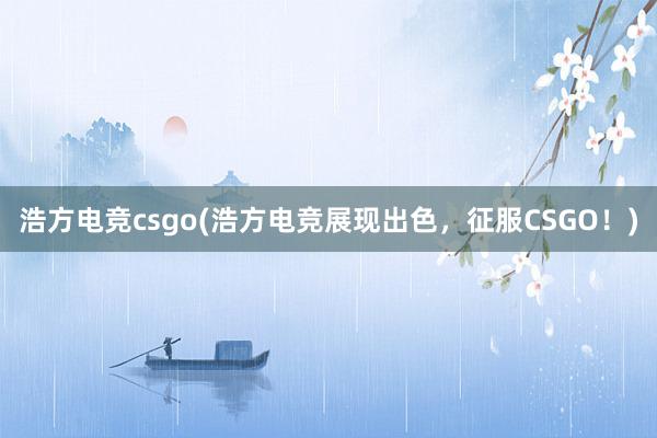 浩方电竞csgo(浩方电竞展现出色，征服CSGO！)