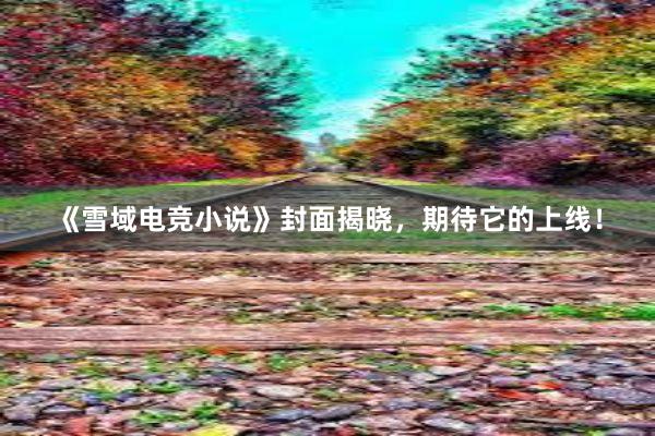 《雪域电竞小说》封面揭晓，期待它的上线！